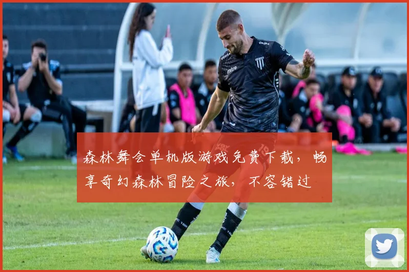 森林舞会单机版游戏免费下载，畅享奇幻森林冒险之旅，不容错过